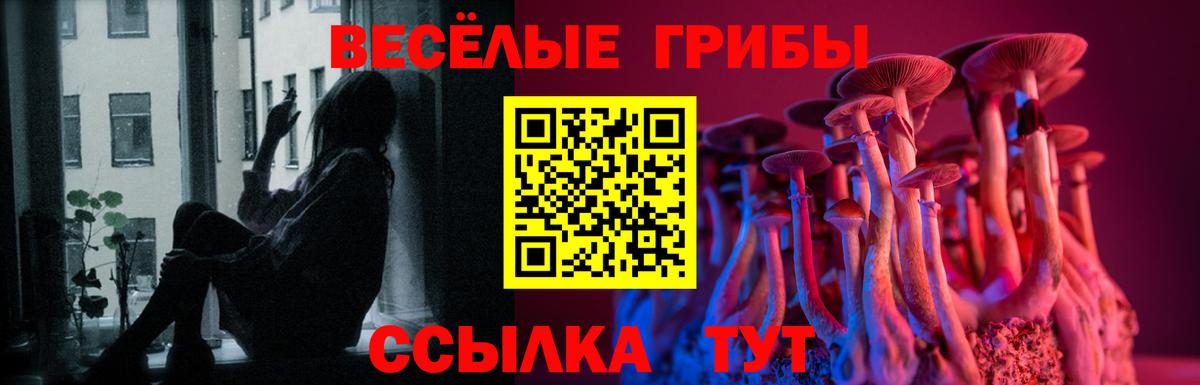 Галлюциногенные грибы Psilocybine cubensis  Галлюциногенные грибы Cubensis  Вход с VPN  Среднеуральск 